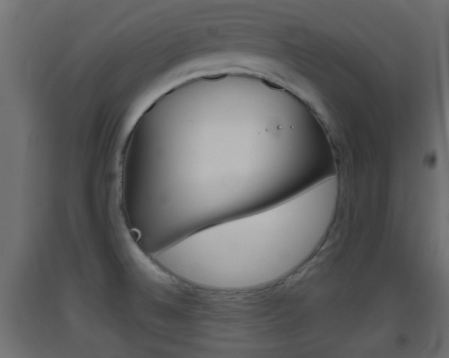 X0000093501524200710121032