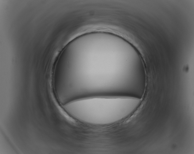 X0000093501525200710121032