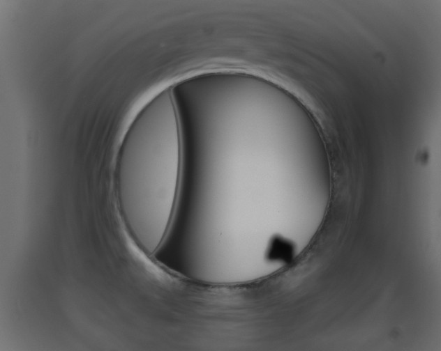 X0000093501527200710121032