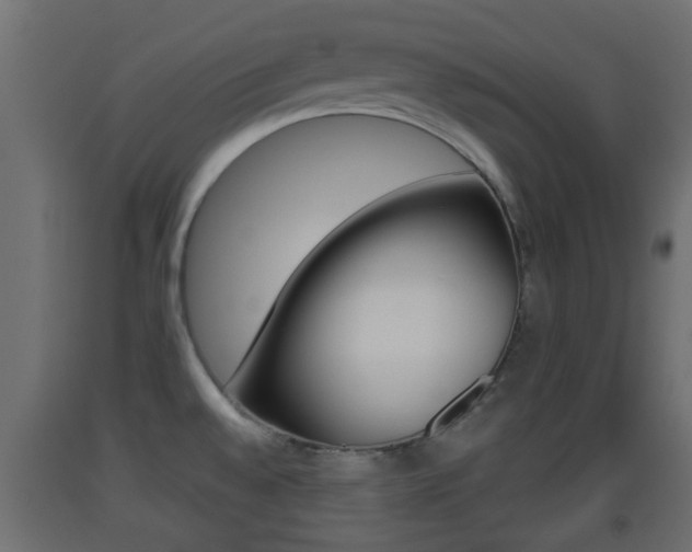 X0000093501528200710121032