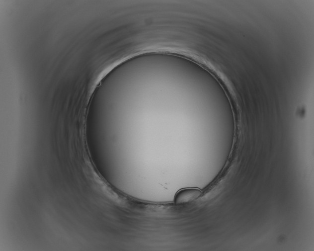 X0000093501529200710121032