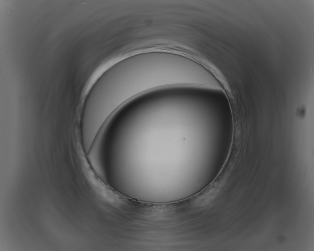X0000093501530200710121033