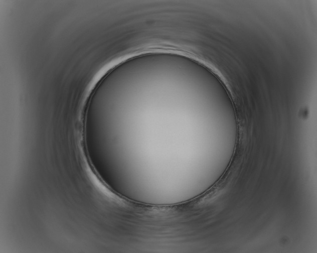 X0000093501531200710121033