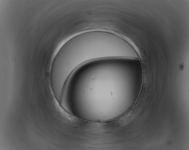 X0000093501532200710121033