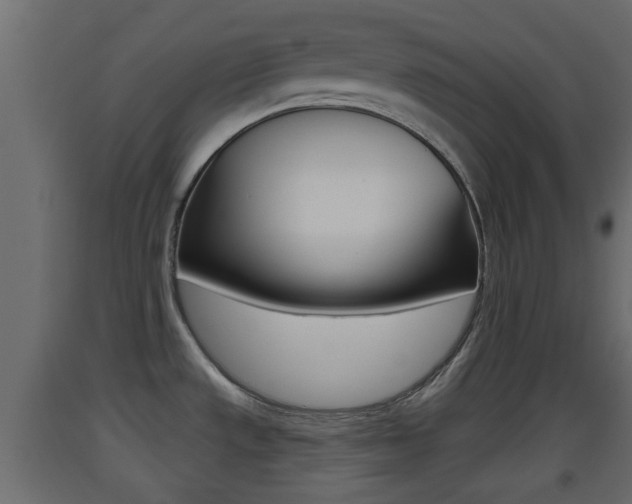 X0000093501533200710121033
