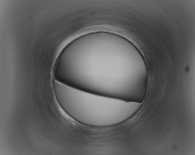 X0000093501535200710121033