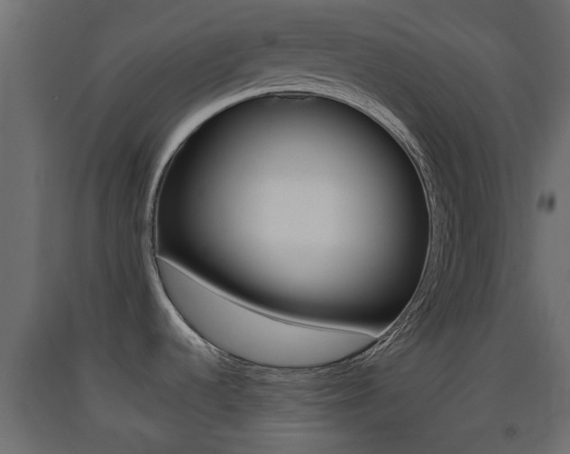 X0000093501536200710121033