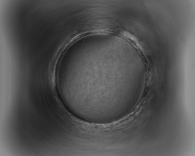 X0000093500002200710121522