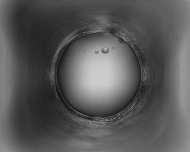 X0000093500004200710121522