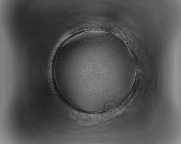 X0000093500006200710121522