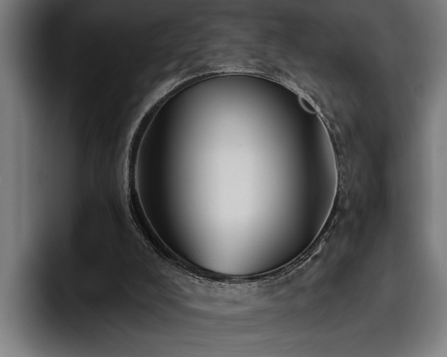 X0000093500008200710121522
