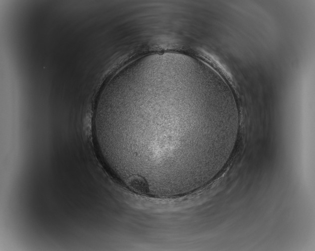 X0000093500010200710121522