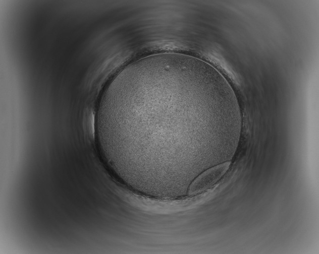 X0000093500014200710121522