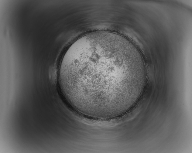 X0000093500016200710121522