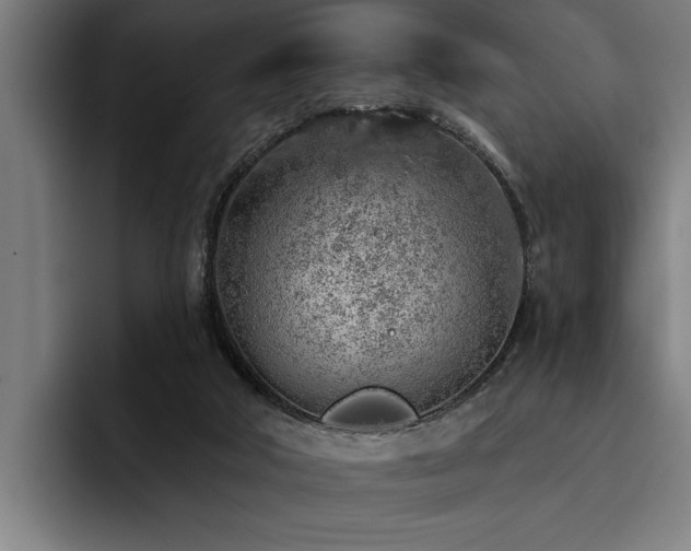 X0000093500018200710121522