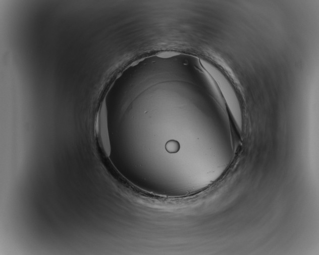 X0000093500019200710121522