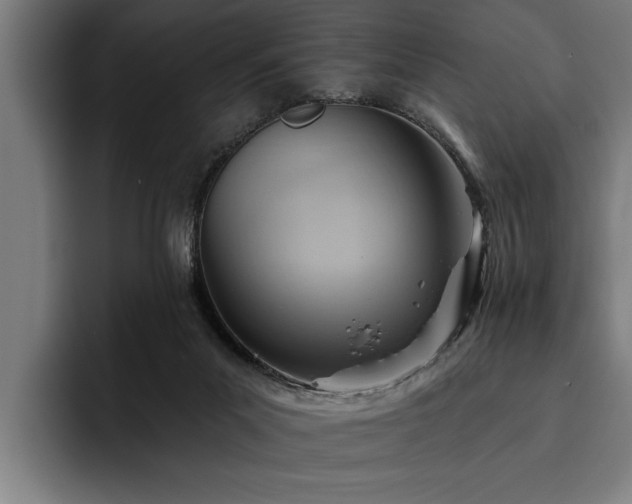 X0000093500023200710121522