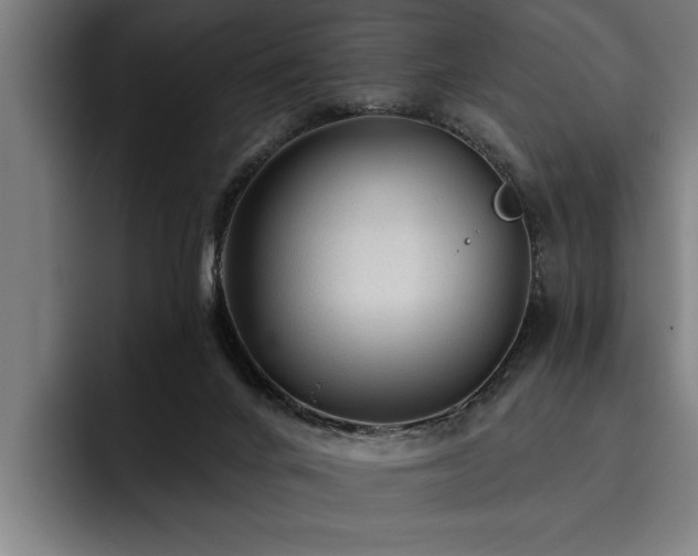 X0000093500024200710121522