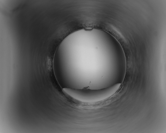 X0000093500025200710121521