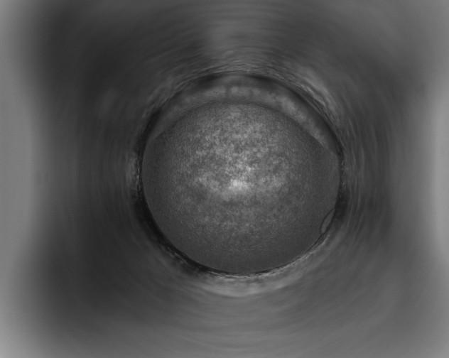 X0000093500029200710121521