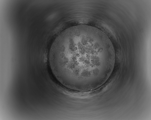 X0000093500032200710121521