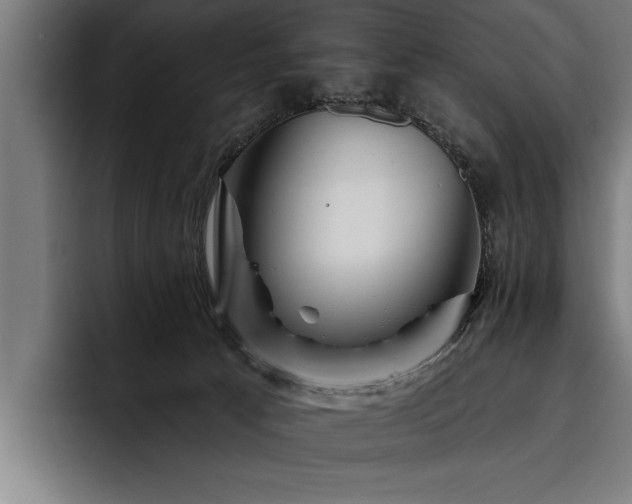 X0000093500033200710121521