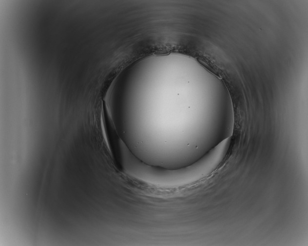 X0000093500037200710121521