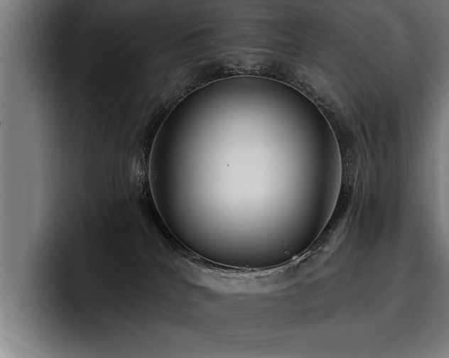 X0000093500040200710121521