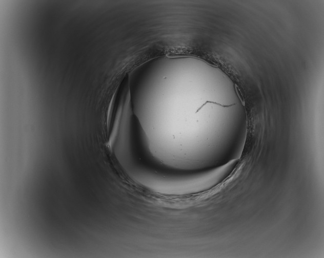 X0000093500041200710121521