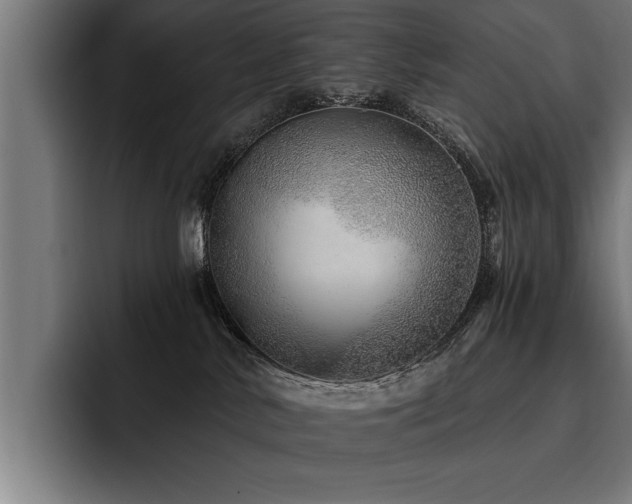 X0000093500042200710121521