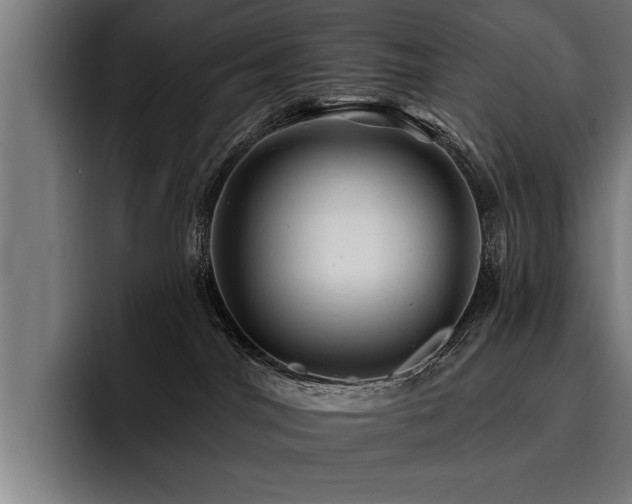 X0000093500044200710121521