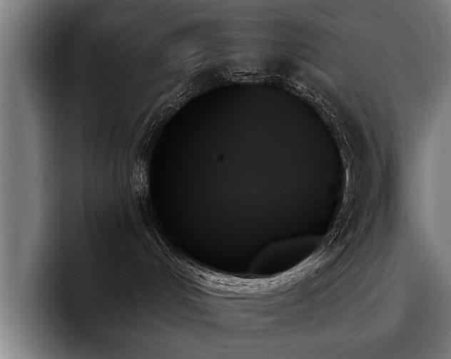 X0000093500048200710121521