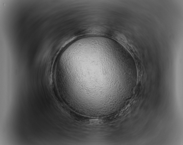 X0000093500050200710121521