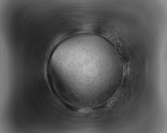 X0000093500051200710121521