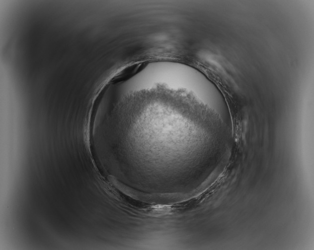 X0000093500052200710121521