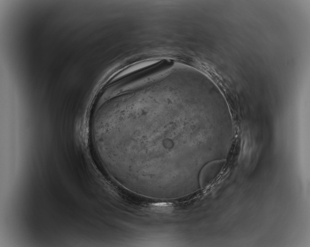 X0000093500053200710121521