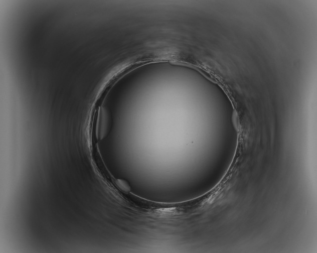 X0000093500054200710121521