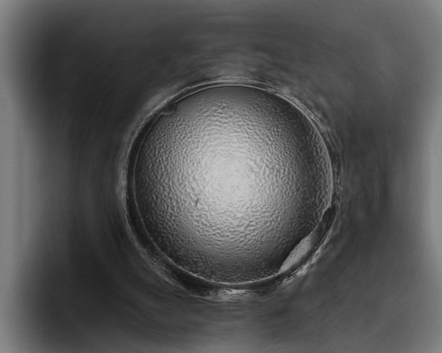 X0000093500055200710121521