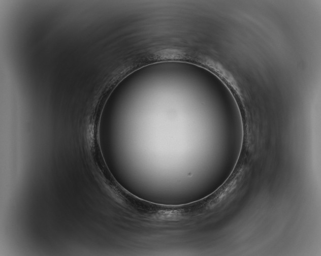 X0000093500057200710121521