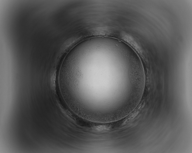 X0000093500058200710121521