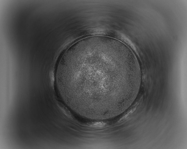 X0000093500059200710121521