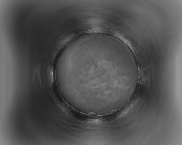X0000093500061200710121521