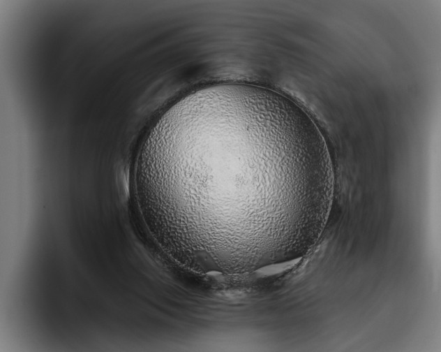 X0000093500062200710121521