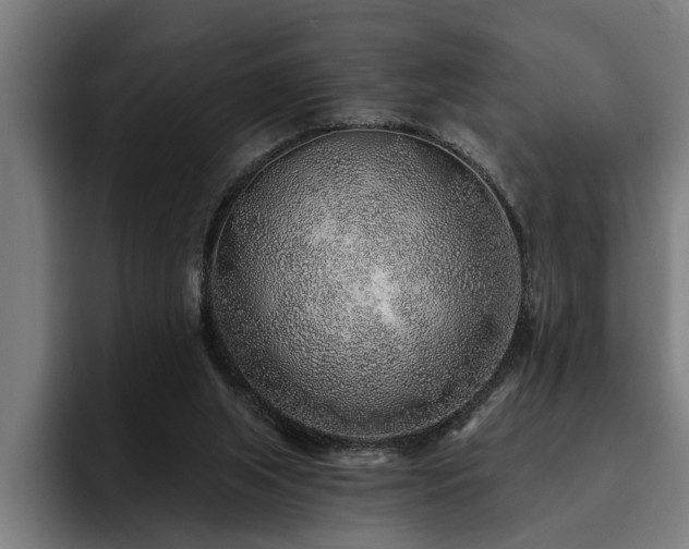 X0000093500063200710121521