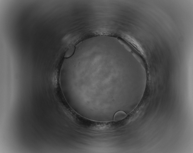 X0000093500065200710121521