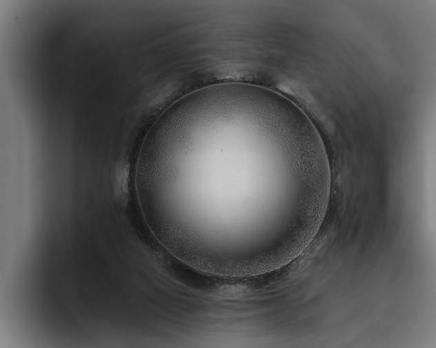 X0000093500066200710121521