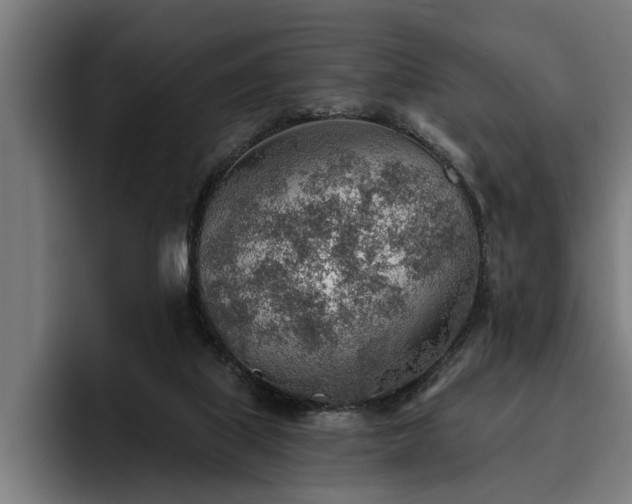 X0000093500067200710121521