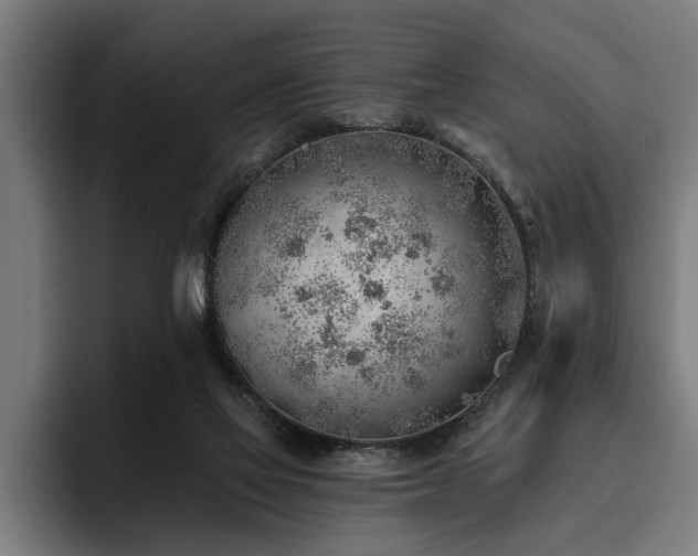 X0000093500069200710121521