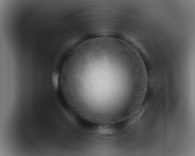 X0000093500070200710121521