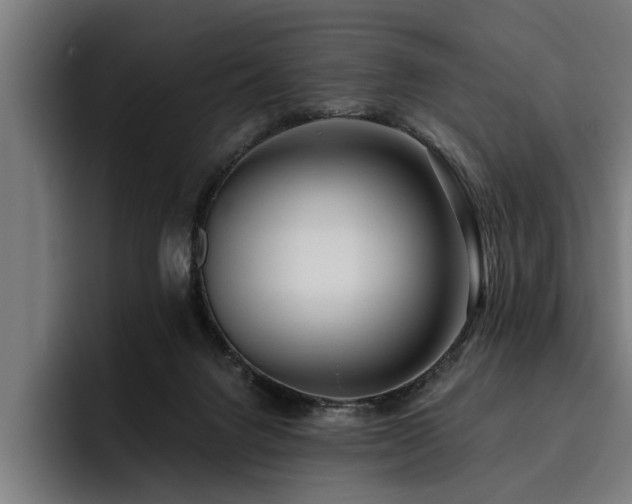 X0000093500072200710121521
